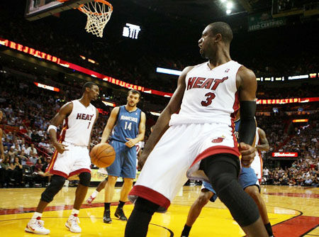 水户蜀葵若 水户蜀葵若